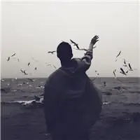 6686体育官网海外作者Sadie