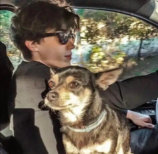 6686体育官网铜牌作者长辞笙