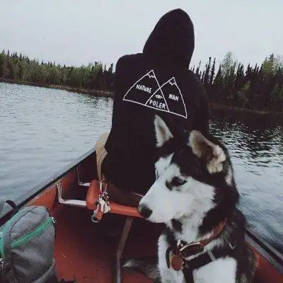 6686体育官网官方作者孤独与我为