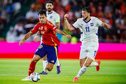 西班牙 vs 塞尔维亚