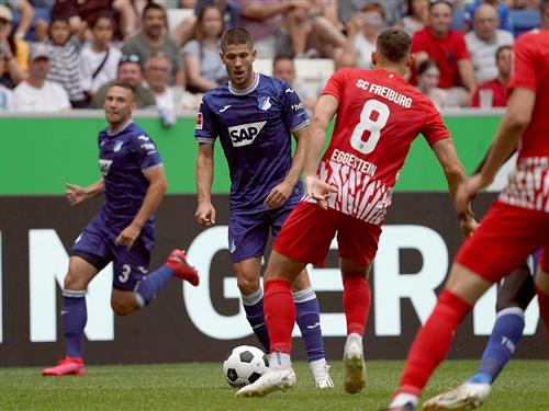 弗赖堡 vs 霍芬海姆