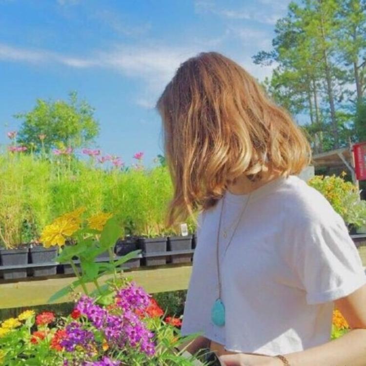 6686体育中级作者Jocasta